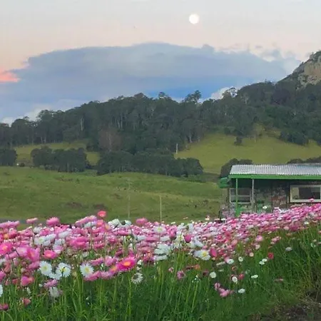 Mountain View Tilba Tilba - Glamping Hotel Exterior photo
