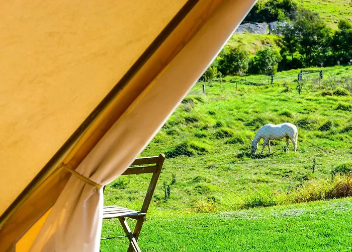 Mountain View Tilba Tilba - Glamping