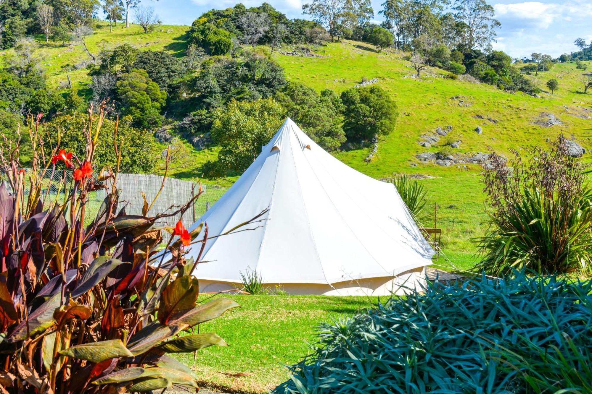 Mountain View - Glamping *