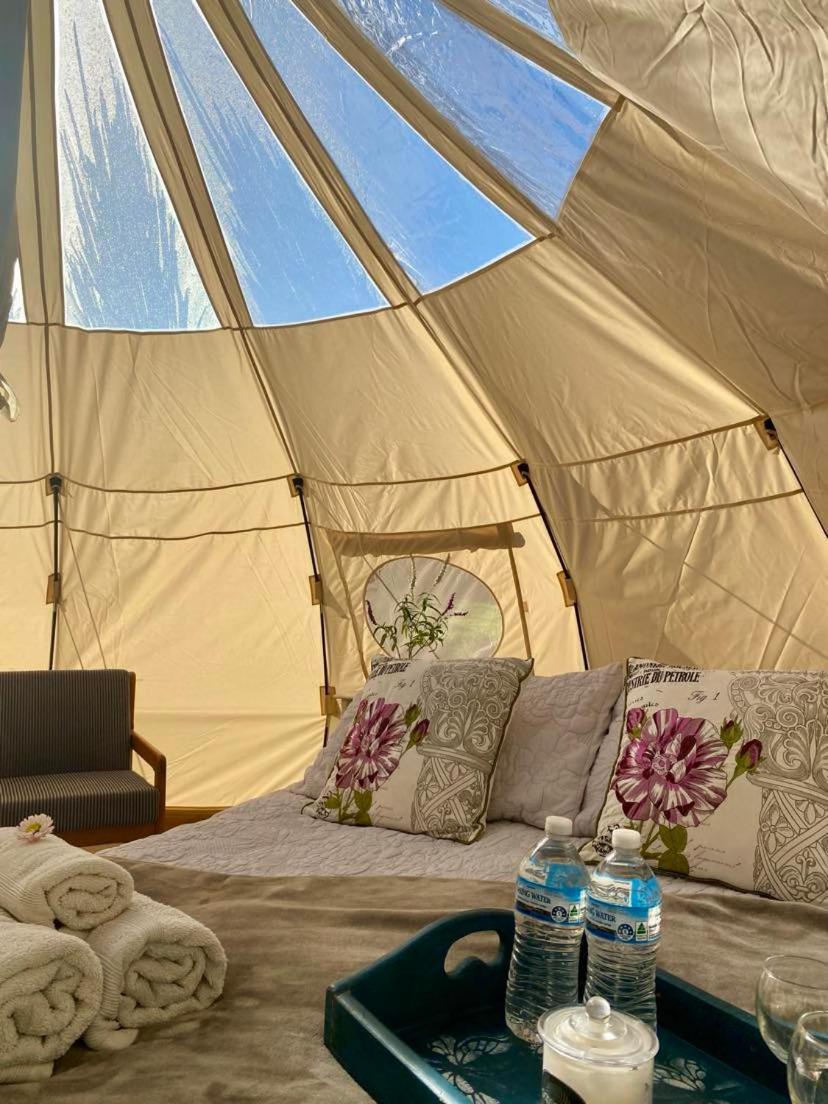 Mountain View - Glamping Campsite