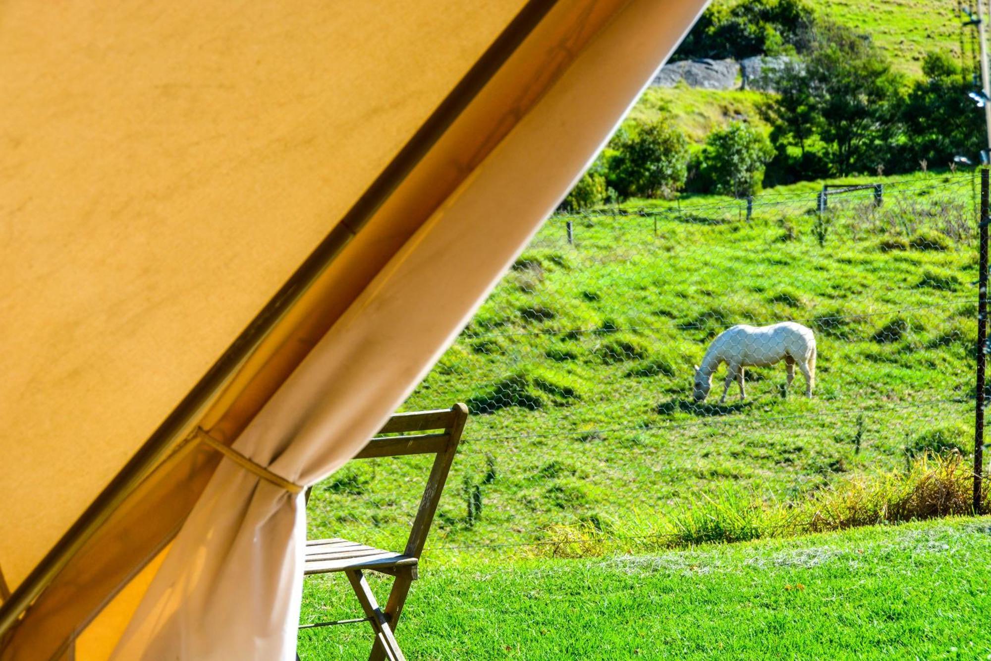 Mountain View - Glamping *